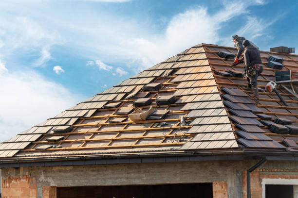 Best Roofing for New Construction  in Shackle Island, TN